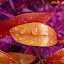 after rain by Michelle Meenawong - Artistic Objects Other Objects