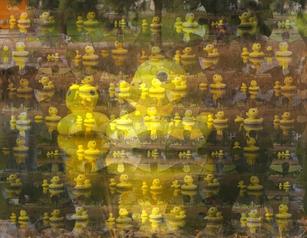 [duck Mosaic_0009[3].jpg]