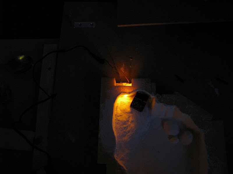 Incrustation au fond de la grotte marine