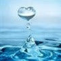 Ocean of Perspectives