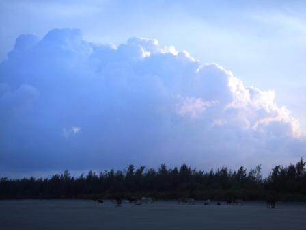 [059 Clouds[2].jpg]