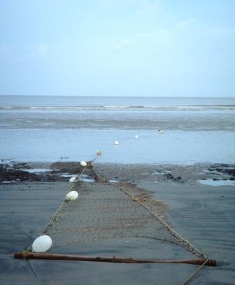 [051 fishing net[2].jpg]