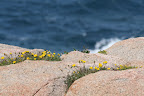 IMG_2261.JPG