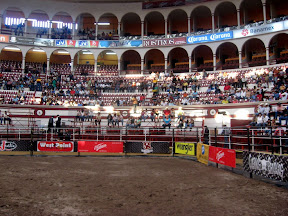 cuernos chuecos carriage