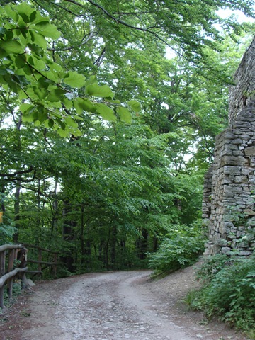 [DSC005212.jpg]