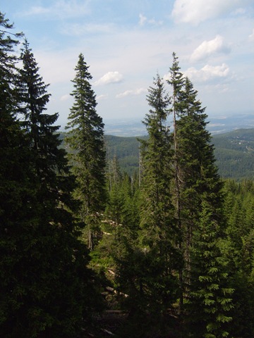 [S63043212.jpg]