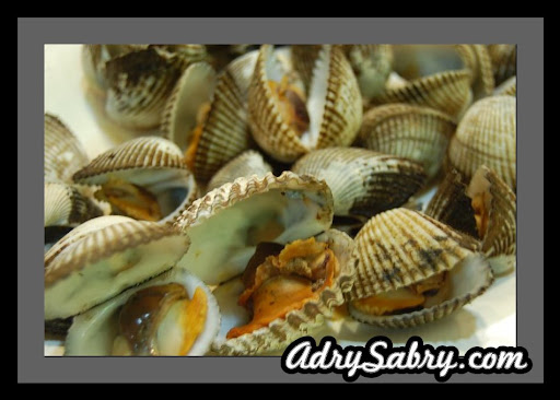 kerang