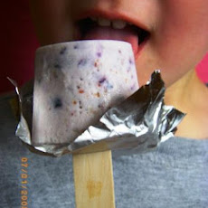 Blueberry Popsicles