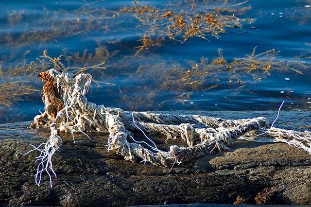 [DSC_9764 copy[3].jpg]