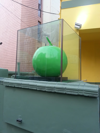 Melon In A Box