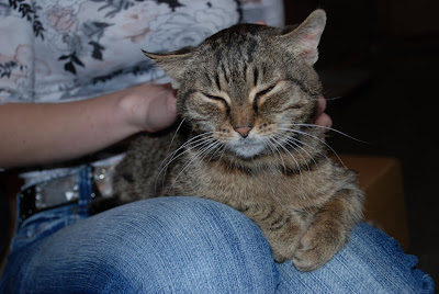 DSC_0030.JPG