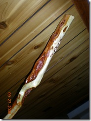 walking stick 038