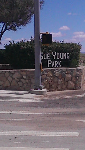 Sue Young Park