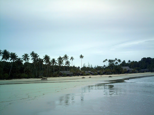 insula