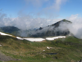 IMG_3533.JPG