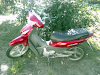 Moto Yumbo Max Plus 125