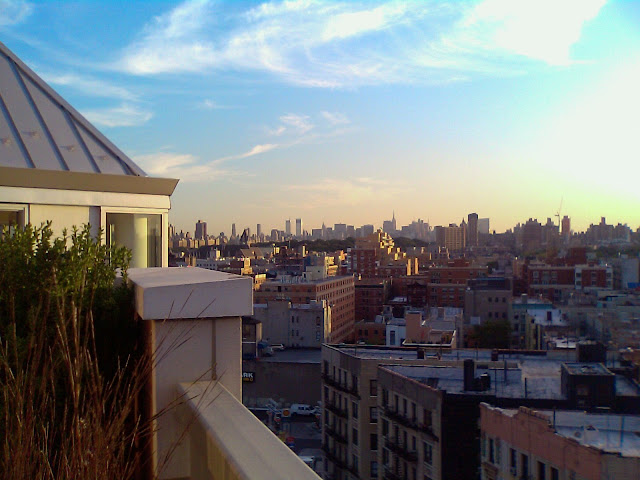 Dywer Condo Rooftop