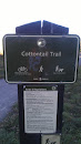 Cottontail Trail Head #2