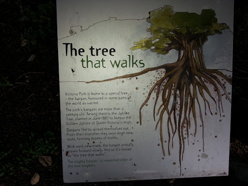 Walking Tree