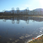 hansencreek
