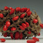 Magnolia Tree (cone)