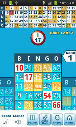 Bingo by Michigan Lottery