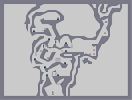 Thumbnail of the map 'The Kill'