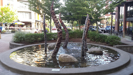 Kelp Bronze Sculpture