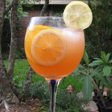 Sangria Rose