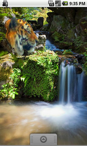 Tiger Profile Sticker