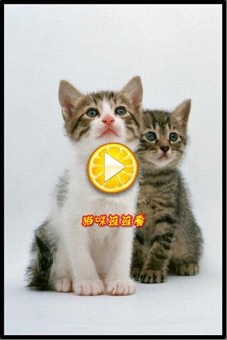 Cat Lianliankan（Free）