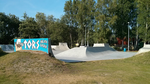 Tors Skate Park
