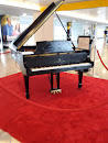 Terminal 8 Player Piano
