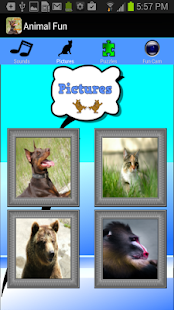 How to download Animal Games For Kids Free 1.0 apk for pc