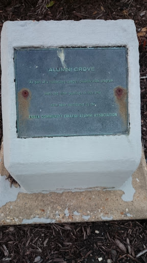 Alumni Grove