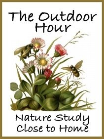 [Outdoor_Hour_button[2].jpg]