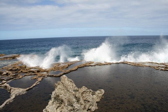 [Tonga 381[2].jpg]