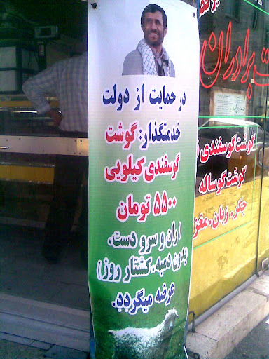 عکس از : مهدی جلیل خانی