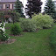 flowerlady's shrub row garden garden