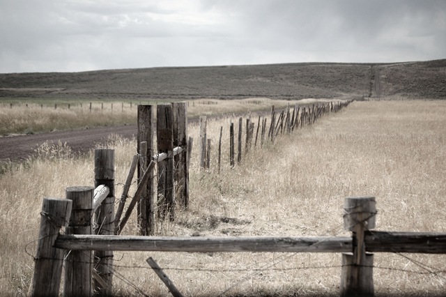[fenceatkilgore3.jpg]