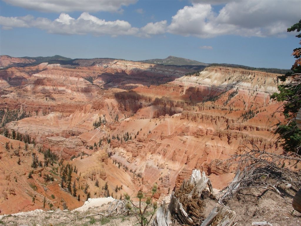 [summer_2008 082[2].jpg]