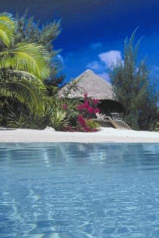 Caribbean Beach Live Wallpaper