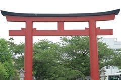 DSC_0005 (Small)