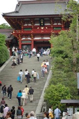 DSC_0033 (Small)