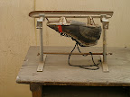 An ice skate ready to be sharpened