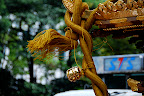 a tassle on the main shrine at the Shinjuku Autumnal Equinox festival 2008
