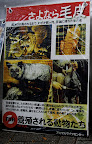 The amount of fur Japanese women wear, really, REALLY pisses me off.