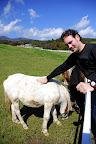 Jason petting a pony