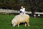 Aya pets a sheep, but it wouldn't let her hug it either.