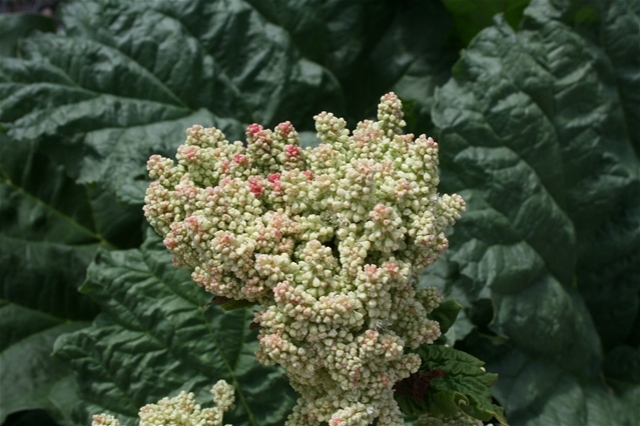[IMG_04443.jpg]